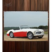 Металлическая табличка Austin Healey 100 6 (BN4)